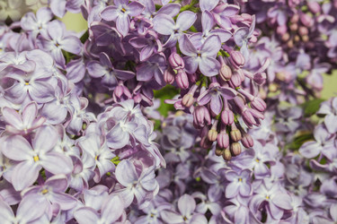 Similar image 21327287