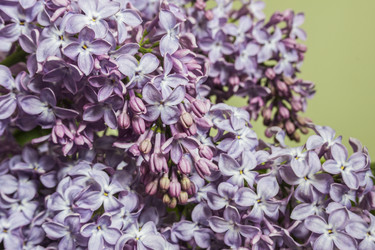 Similar image 21327288