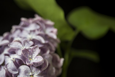 Similar image 21327289