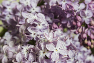 Similar image 21327290