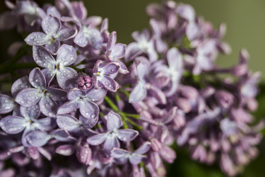 Similar image 21327293