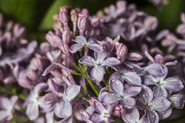 Similar image 21327294