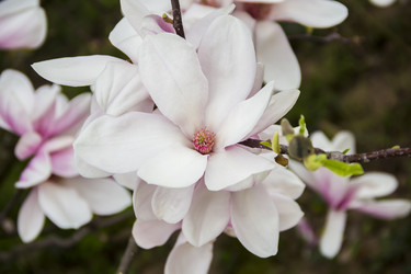 Similar image 21327297