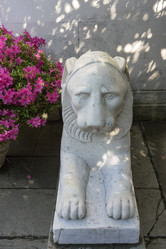 Similar image 21319797