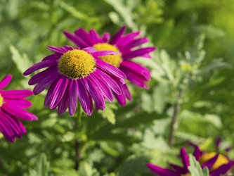 Similar image 21320716