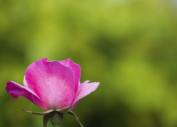 Similar image 21320719