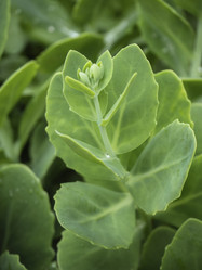 Similar image 21320723