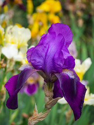 Similar image 21320729