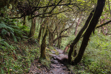 Similar image 21320311