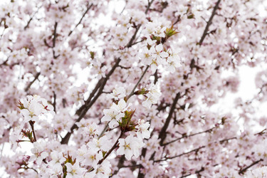 Similar image 21320458