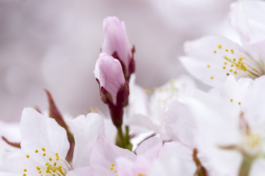 Similar image 21320460