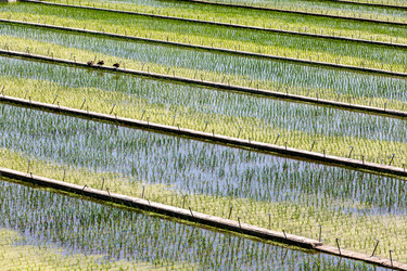 Similar image 21320466