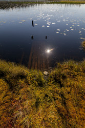 Similar image 21320476