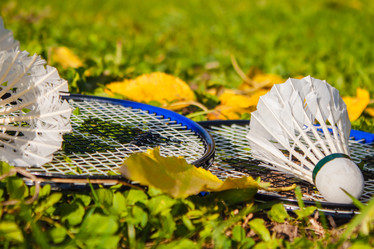 Similar image 21343069