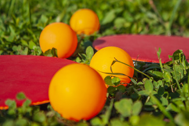 Similar image 21336146