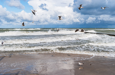 Similar image 21324776