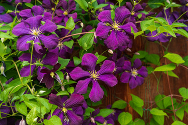 Similar image 21324781