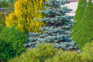 Similar image 21320232