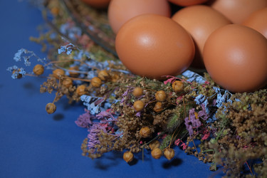 Similar image 21326929