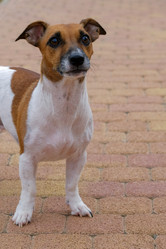 Similar image 21326931