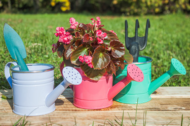 Similar image 21335031