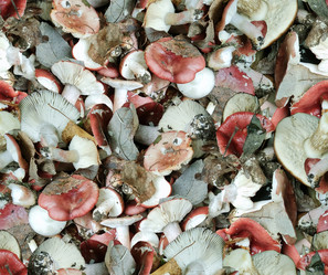 Similar image 21319815