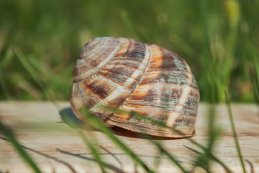 Similar image 21327102