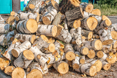 Similar image 21323537