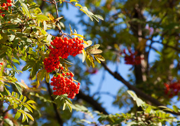 Similar image 21323584