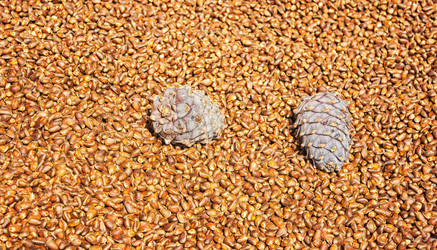 Similar image 21323595