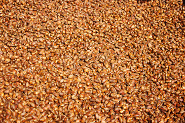 Similar image 21323596