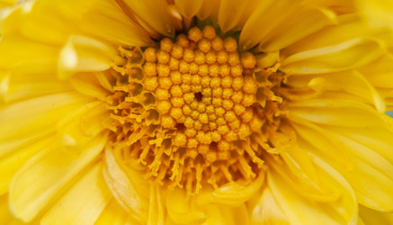 Similar image 21336165