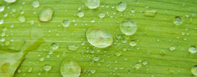 Similar image 21336166