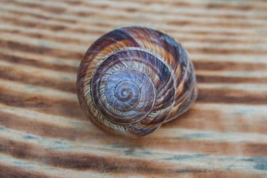 Similar image 21336167