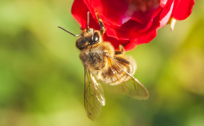 Similar image 21327118