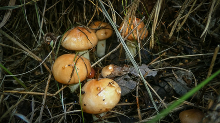 Similar image 21320234