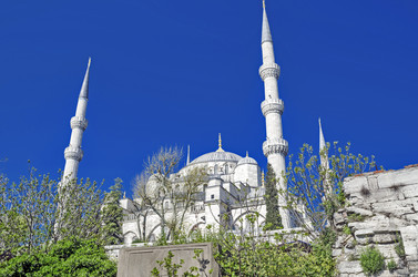 Similar image 21336592