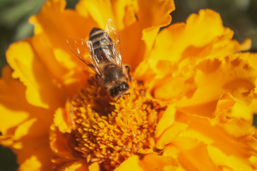 Similar image 21327122