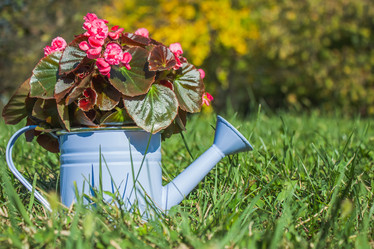 Similar image 21340902