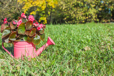 Similar image 21327124