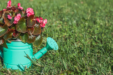 Similar image 21336171