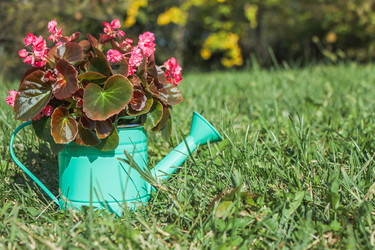 Similar image 21327126