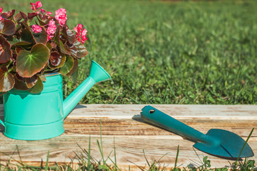 Similar image 21339569