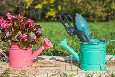 Similar image 21322496