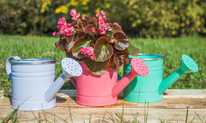 Similar image 21321366