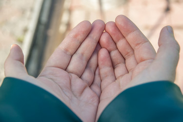 Similar image 21327128