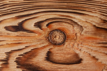 Similar image 21327129