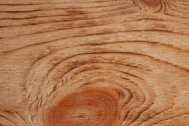 Similar image 21343043