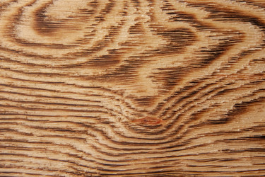 Similar image 21340904