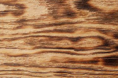 Similar image 21343044